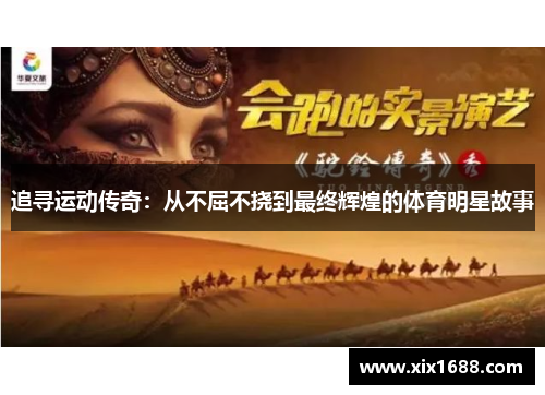 追寻运动传奇：从不屈不挠到最终辉煌的体育明星故事