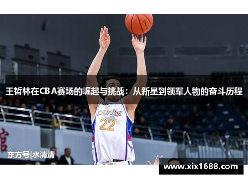 王哲林在CBA赛场的崛起与挑战：从新星到领军人物的奋斗历程